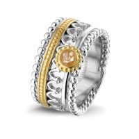 Zilveren ring, open kleine ronde ruimte, accenten “Royals”